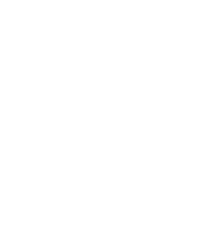 logo d2p